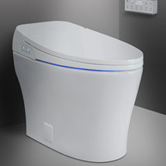 Integrated Bidet Toilets